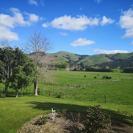 Paeroa Pukeko Lodge Exteriör bild