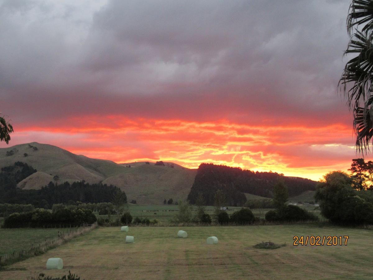 Paeroa Pukeko Lodge Exteriör bild