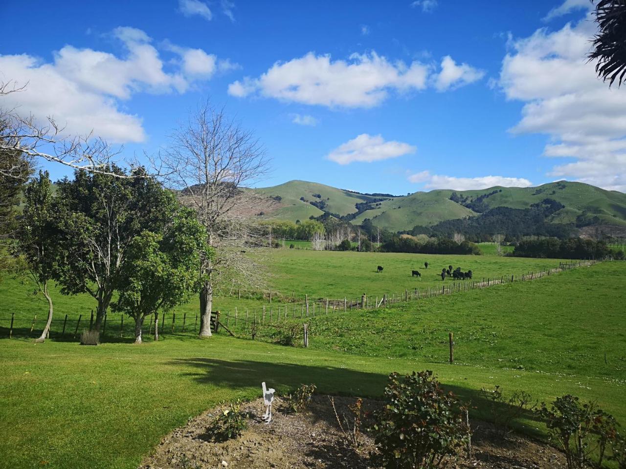 Paeroa Pukeko Lodge Exteriör bild